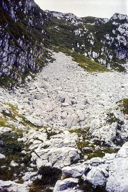 Alpy Julijskie 81 - W drodze na Planinę Lašča fot K. Hancbach