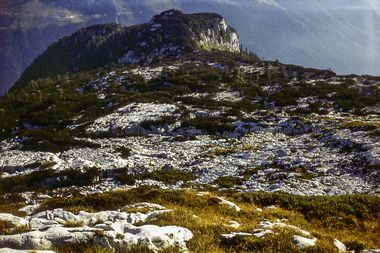 Alpy Julijskie 81 - Canin, okol. otw. Abisso Michele Gortani fot K. Hancbach